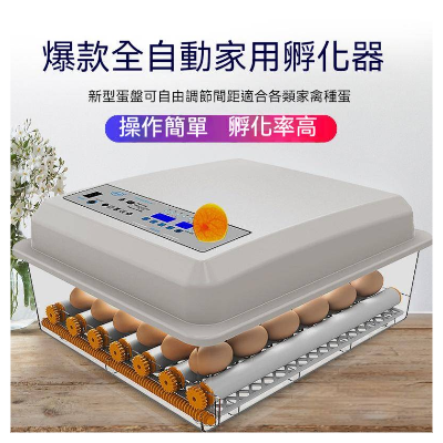 小型家用孵蛋器 全自動智慧孵化機